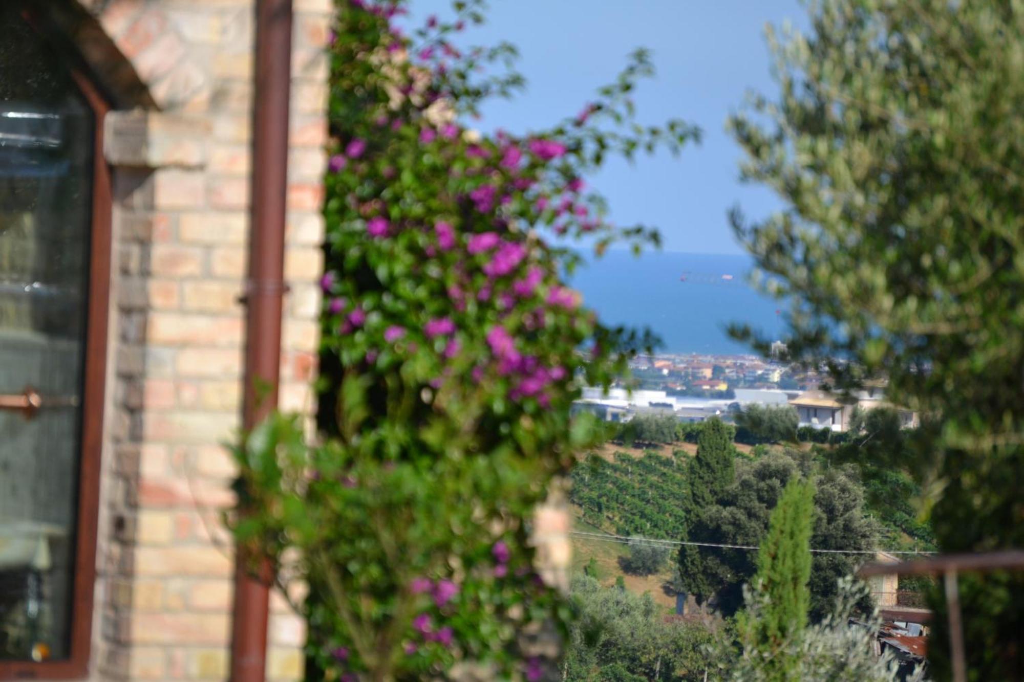 Agriturismo Il Sapore Della Luna 몬테프란도네 외부 사진