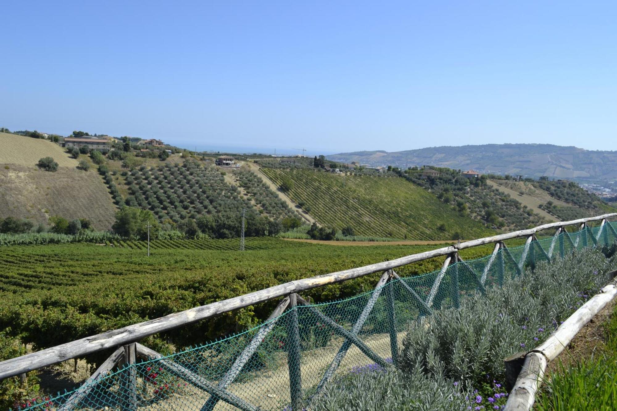 Agriturismo Il Sapore Della Luna 몬테프란도네 외부 사진