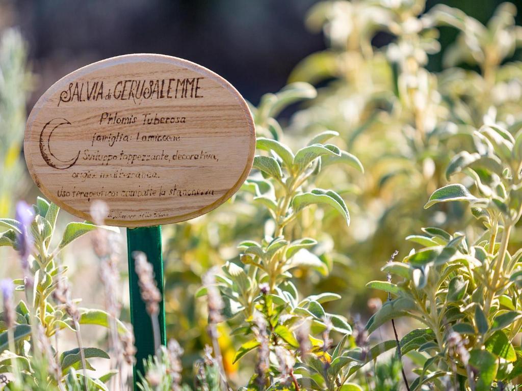 Agriturismo Il Sapore Della Luna 몬테프란도네 외부 사진