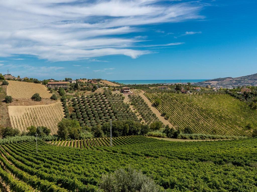 Agriturismo Il Sapore Della Luna 몬테프란도네 외부 사진